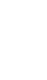 味の決め手たれ