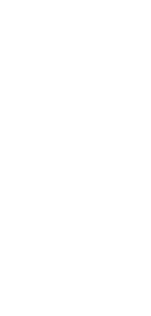 絡み合う国産小麦使用ストレート細麺